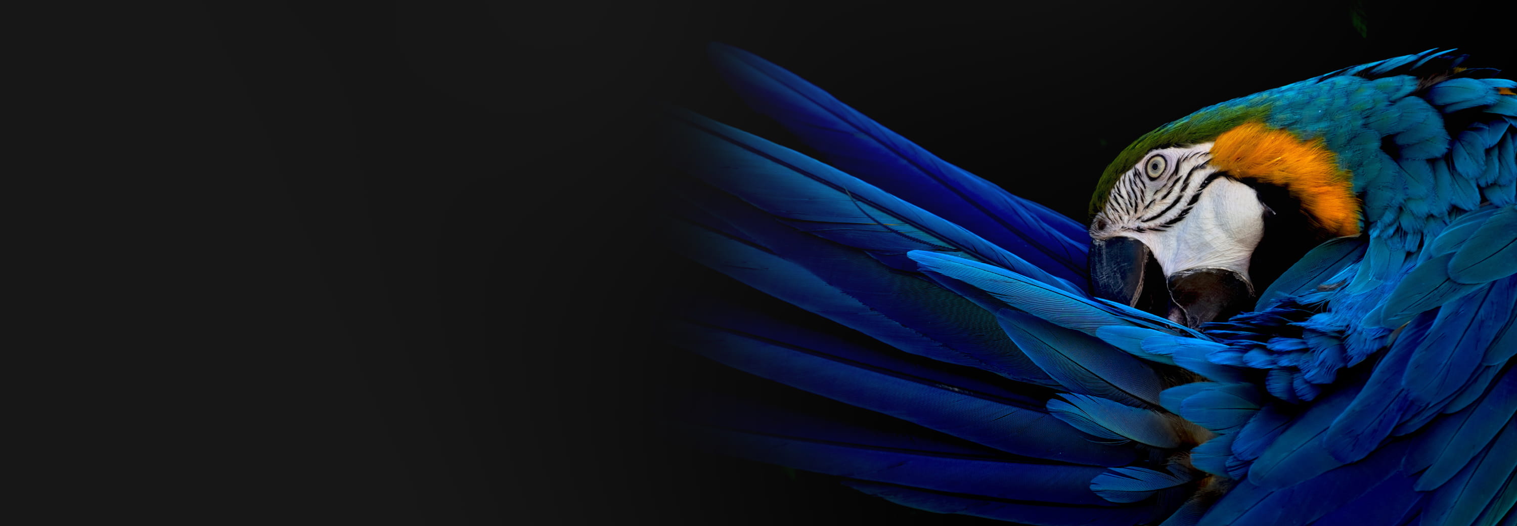 世界初の世界へようこそ ｜ OPPO Find X3 特設ページ